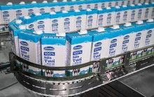 Cổ phiếu VNM vẫn hấp dẫn