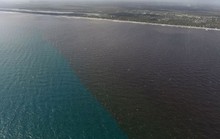 Bão Irma tan từ lâu, biển Florida vẫn chưa đổi lại màu