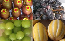 Ăn trái cây ngoại nhập: Tranh mua táo héo, nho rụng, dưa sứt vỏ