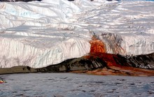 Giải đáp bí ẩn trăm năm của “thác máu” Nam Cực