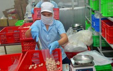 Doanh nghiệp đông nhưng không mạnh