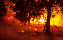 Cháy rừng California: Chỉ còn tro và xương