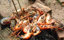 Ăn tôm sành điệu phải như thế này