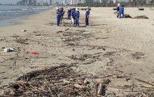 Hơn 30 tấn rác tấp vào bãi biển Đà Nẵng
