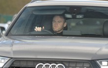 Rooney bị bắt vì lái xe trong tình trạng say rượu