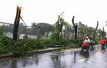 Mưa gió đe dọa nhiều tỉnh, thành