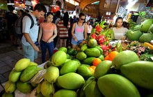 Nghịch lý phí vận chuyển 'đè' trái cây Việt