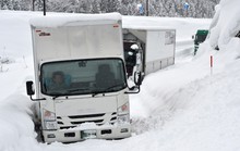 Nhật Bản khốn đốn vì bão tuyết