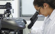 Tìm ra gen chủ giúp thai không bị sẩy