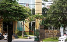 Bà Trần Vũ Quỳnh Anh được cho thôi việc “thần tốc”