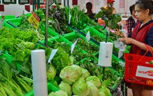TP HCM: Phát triển nông nghiệp đô thị hiện đại