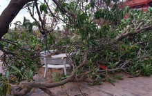 Gió đang rất mạnh ở Trường Sa