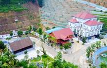 Kỷ luật ông Phạm Sỹ Quý như vậy là đúng tội?