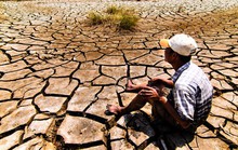 ĐBSCL đói vốn ứng phó biến đổi khí hậu