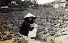 Người đầu tiên mang rau, hoa Đà Lạt về Sài Gòn 70 năm trước