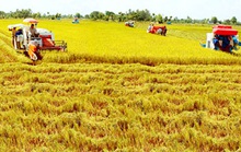 “Nhiều cơ chế đất đai đang cản trở phát triển nông nghiệp”