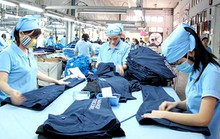 Chế tài, xử phạt chưa đủ sức răn đe doanh nghiệp nợ BHXH
