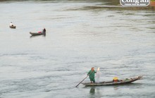 Cá mòi ắp ụ sông Yên, ngư dân thả sức vây bắt