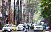 Taxi truyền thống lột xác để tồn tại