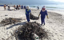 Đà Nẵng:  Hơn 30 tấn rác tấp vào bãi biển gây ô nhiễm nặng