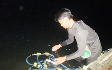 Đêm theo thợ lặn thỏa sức săn tôm cá ở Đồng Nai