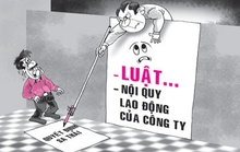 Ai được ký quyết định kỷ luật?
