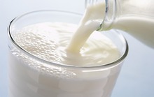 Uống quá nhiều sữa bò dễ dẫn đến bệnh loãng xương