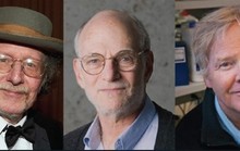 Giải Nobel Y học về tay 3 nhà khoa học người Mỹ
