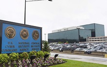 Ly kỳ vụ tin tặc Nga cuỗm tài liệu mật của NSA