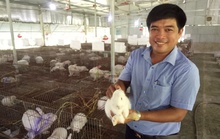 Ông chủ trang trại thỏ 8X