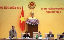 Có địa phương lớn coi thường hoạt động giám sát của Quốc hội