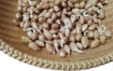 “Nhức răng” với mầm đậu phộng xào thịt bò