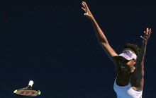 Xem Federer vào chung kết, chị em Williams tranh vô địch nữ