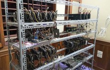 Máy đào tiền ảo về TP HCM tăng đột biến chỉ trong 2 tháng