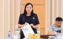 Đề nghị QH làm rõ trách nhiệm để đường cao tốc Đà Nẵng - Quảng Ngãi hư hỏng