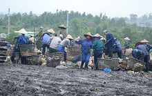 Dân bãi rác Khánh Sơn bật khóc khi đối thoại với lãnh đạo