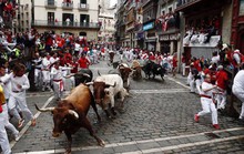 Vì sao bò tót Tây Ban Nha nổi điên khi thấy khăn nhử đỏ