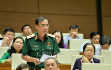 Có nhiều bài viết xuyên tạc việc Chủ tịch nước Trần Đại Quang từ trần