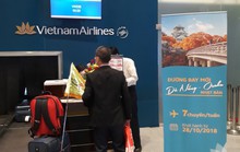 Đường bay mới kết nối 2 thành phố du lịch Đà Nẵng - Osaka