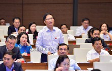 Bộ trưởng Trần Tuấn Anh nói gì về việc thuế giảm nhưng giá ô tô không giảm?