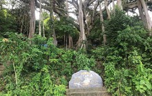 Những vụ “mất tích” bí ẩn trên bán đảo Sơn Trà