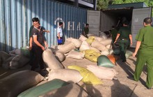 Phát hiện hơn 10 tấn ngà voi và vảy tê tê nhập lậu