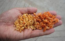 Mẹo phân biệt tôm khô tự nhiên và tôm khô có hóa chất