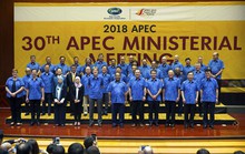 Dấu ấn Việt Nam sau 20 năm gia nhập APEC