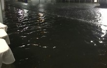 TP HCM: Bệnh viện ngập sâu, bác sĩ lội nước cấp cứu bệnh nhân