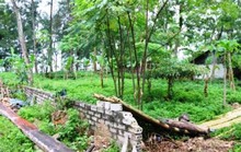 Hàng loạt cán bộ TP Sầm Sơn bị kỷ luật do sai phạm quản lý đất đai