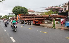Không có giấy tờ, 4 xe container chở cả trăm mét khối gỗ khủng bị bắt giữ