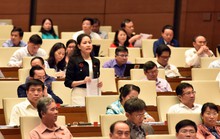 Không đặc xá tội phản quốc, gián điệp