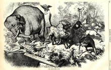 Mỹ: Vì sao đảng Dân chủ là lừa, còn Cộng hòa là voi?