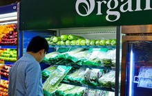 Đầu tư hữu cơ không thể ẩu